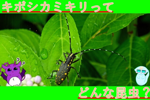 Thumbnail of post image 153